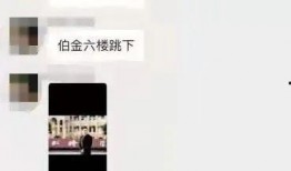 乐清网友爆料事件最新,揭秘背后真相与网络舆论的力量